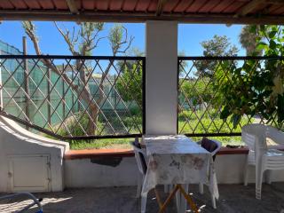 casa l'olivo - 2