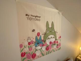 TotoroROOM SR EBISU Stay - Osaka - 3