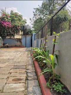 Hotel Pathani Inn - - 0