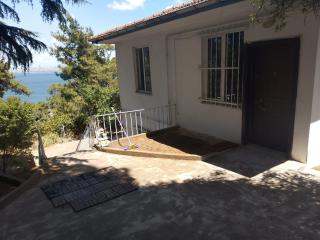 west suit - Adalar - 0