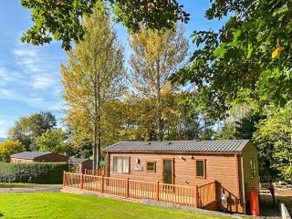 Avon Lodge - Hyssington - 0