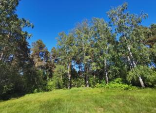 Kotkan festarimajoitus 24H7d Check In - Kotka - 8