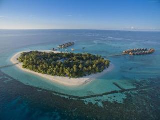 Angaga Island Resort and Spa - 3