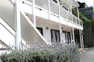 88 Wallace Court Motel - Wellington - 4