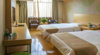 GreenTree Inn Weifang Linqu County Dongcheng - Weifang - 9