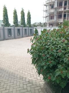 Rm Hotel - Mwanza - 2