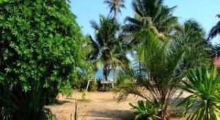Chill Beach Resort - Pathiu - 7