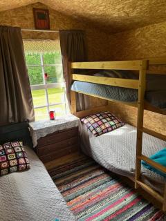Forest Camping - - 5