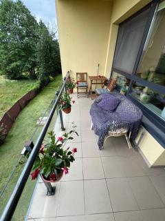 Gėlių apartamentai - 6