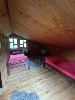 River Nest - 3