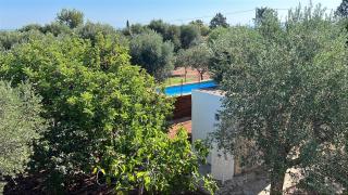 Trullo Tojo - Ostuni - 1