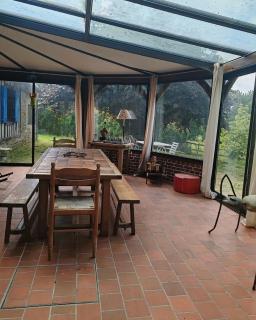 La maison bleue - 6
