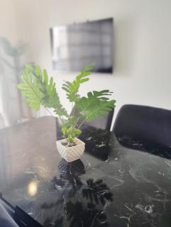 Appartement complexe Costa Mar avec piscine privée très sécurisé 3min de la plage Luxe et détente - 4