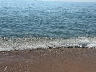 Golden Lemon - Varna City - 7