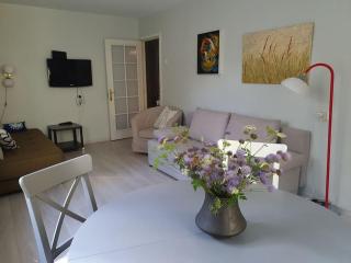 Homey, stylish apartment Mytra facing a pine forest - Nida - 7