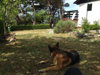 Holiday home Josipovic - Bast - 3