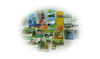 Landhaus im kühlen Grunde Garni - 5