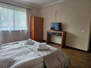 Caprioara Room's - Buşteni - 2