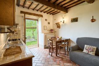 Agriturismo Cacciamici - Castiglioncello del Trinoro - 1