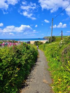 Trevarthian - Polzeath - 9