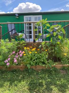 Shepherds Hut (Benny's) - Cullompton - 9