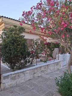My sweet home - Argostoli - 1