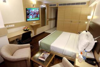 Hotel De Plaza Near Delhi Airport - Neu-Delhi - 6