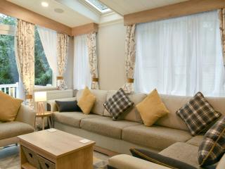 The Hollies Lodge - Prenteg - 8
