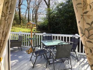 The Hollies Lodge - Prenteg - 3