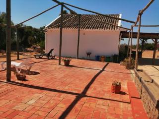 Medronhal Faro EM 520 - 2- casas de férias medronhal - Faro - 9