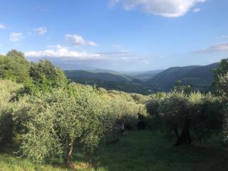 casa stenta apartment in campaign with view - Pontassieve - 8