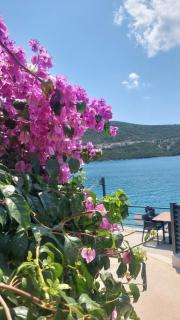 Odore Di Mare - 7
