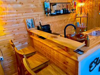 Wellness-Ferienwohnung mit Sauna, Massagen, beheizbarem Whirlpool & eigener Bierzapfanlage - Pomssen - 1