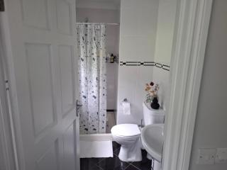 Ballyhade Cottage - Carlow - 5