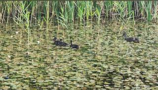 Beckley Place - Oxford - 8