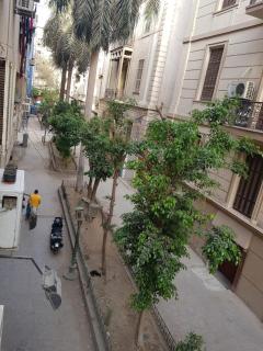 Cairo hotel - Le Caire - 3