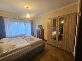 Caprioara Room's - Buşteni - 9