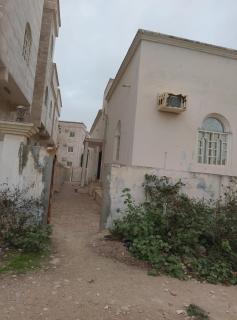 صلالة - Salalah - 6