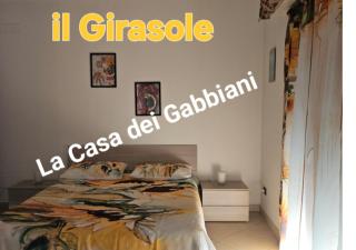La casa dei gabbiani - 1