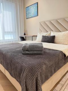 Three Bedroom Apartment in the Center with Balcony - Chişinău - 4