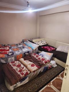 زهرة اللوتس - Alexandria - 4