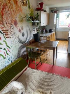 Nørrebro - Kopenhagen - 6