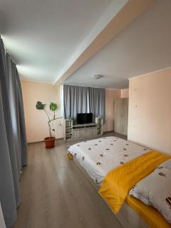 Casa Noastră - Călimăneşti - 3