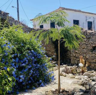 Casa di Marko - Gardeládes - 8