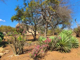 Masorini Bush Lodge & Safari Tents - Phalaborwa - 1
