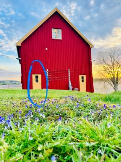 Brålands Farm - fish & family friendly in nature reserve - Apartment nr 2 Laxen - 6