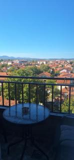 S-Apartmani Cocetova - Jagodina - 4