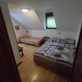 Polski Dom Wczasowy nad Balatonem - Siófok - 5