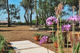 Masseria San Nicola Holidays Home - Vignacastrisi - 8