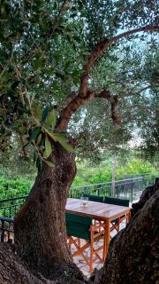 Olivo Apartment - Studio - Lixouri - 7